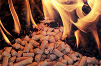 生物質(zhì)顆粒燃料對環(huán)境有影響嗎？